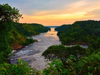 Murchison Falls on the River Nile in northwest Uganda