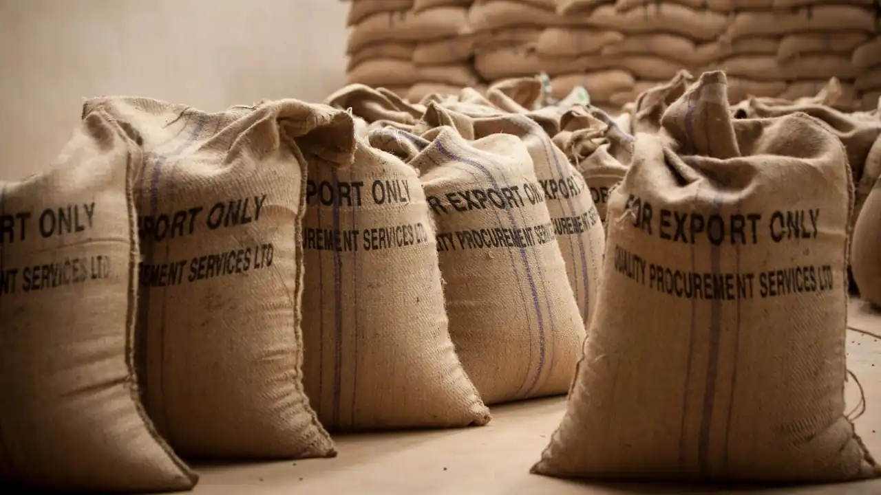 Rows of filled burlap coffee bags prepared for export shipment, showing company branding, stacked in a warehouse.