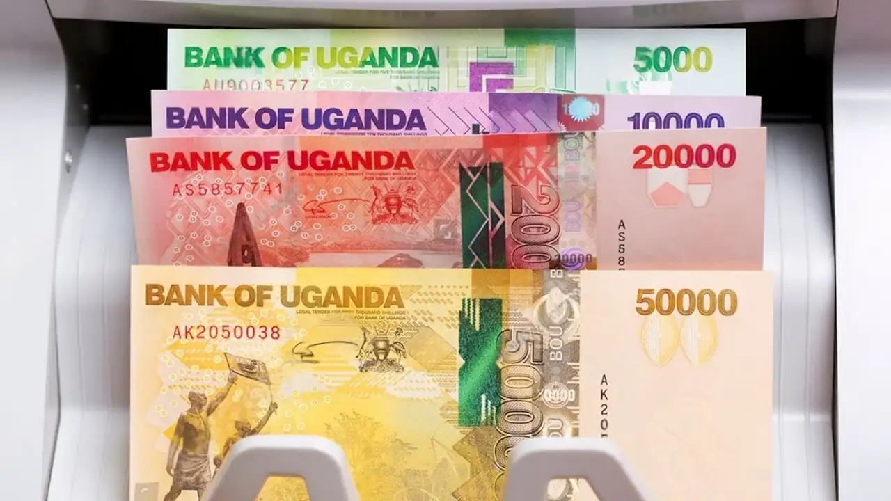 A stack of Ugandan shilling banknotes—50,000, 20,000, 10,000, and 5,000—arranged in a currency counting machine.